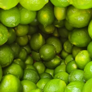 citronnier